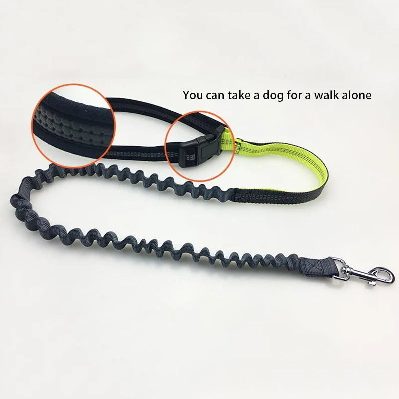 Hands Free Dog Leash with Zipper Pouch Reflective Bungee for Medium to Large Dogs Walking Jogging and Running