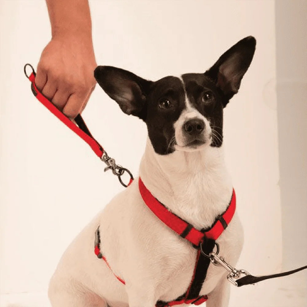 Ultimate Control Dog Harness Adjustable Multi-Functional Front Rear Pull Control Padded Handle Detachable Leash Extension