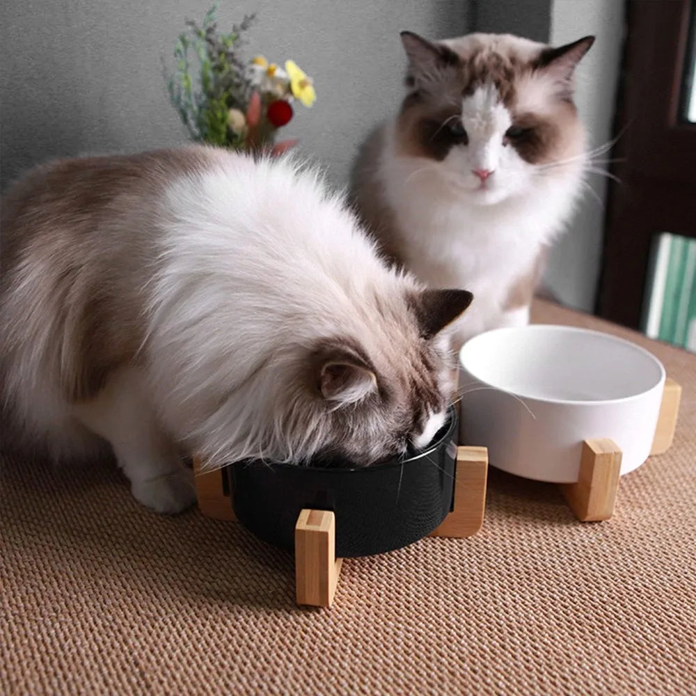 Ceramic Dog Cat Bowls Set with Stand,Black Pet Food and Water Bowl,Small Dog Bowls Cute Modern Anti Slip Set of 2 Pet Feeder Sm