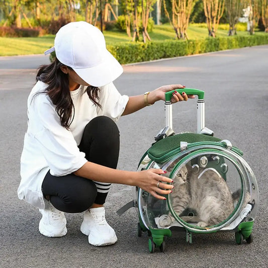 Pet Trolley Case Clear Ventilation Holes Silent Wheels Convenient Portable Cats Dogs Backpack Clear Window Pet Trolley Case