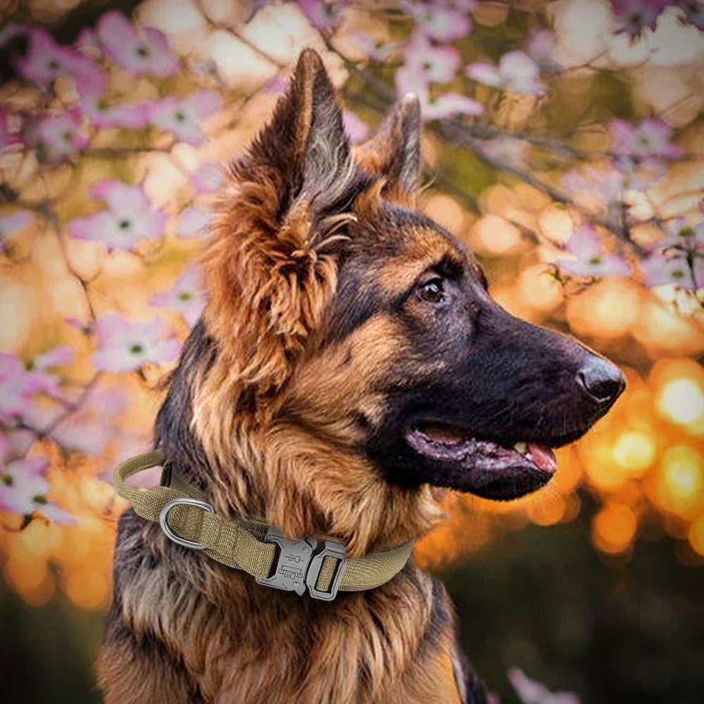 Durable Tactical Dog Collar and Leash Adjustable Military Pet Collar Leash Medium Large Dog German Shepherd Training Accessories