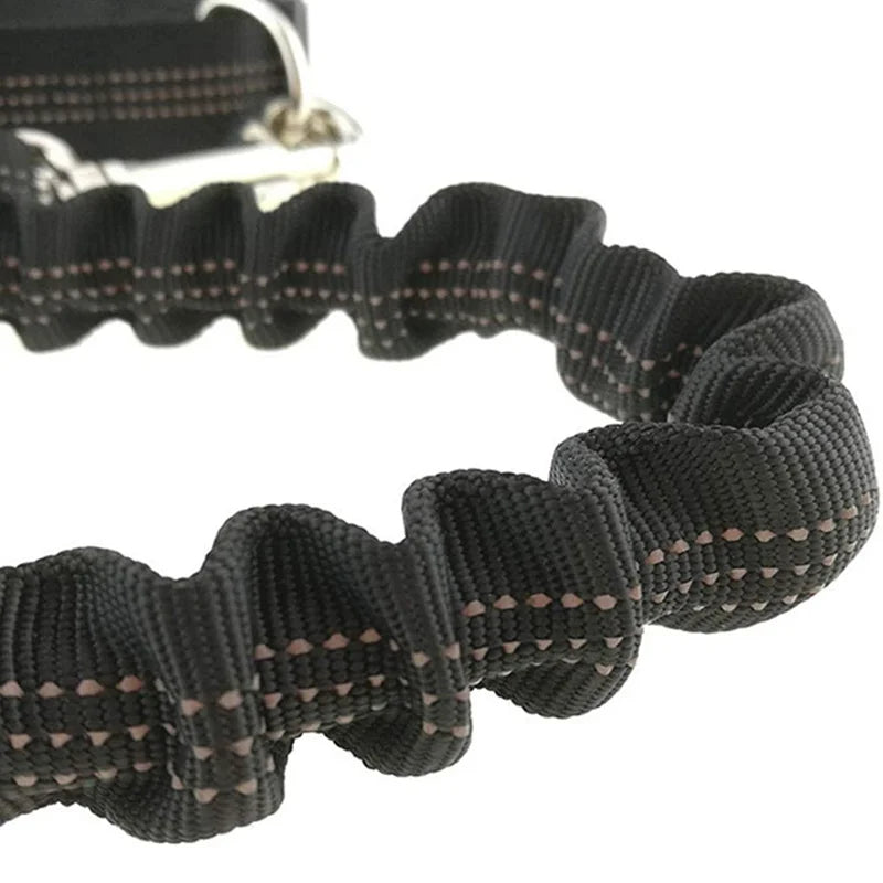 Hands Free Dog Leash with Zipper Pouch Reflective Bungee for Medium to Large Dogs Walking Jogging and Running