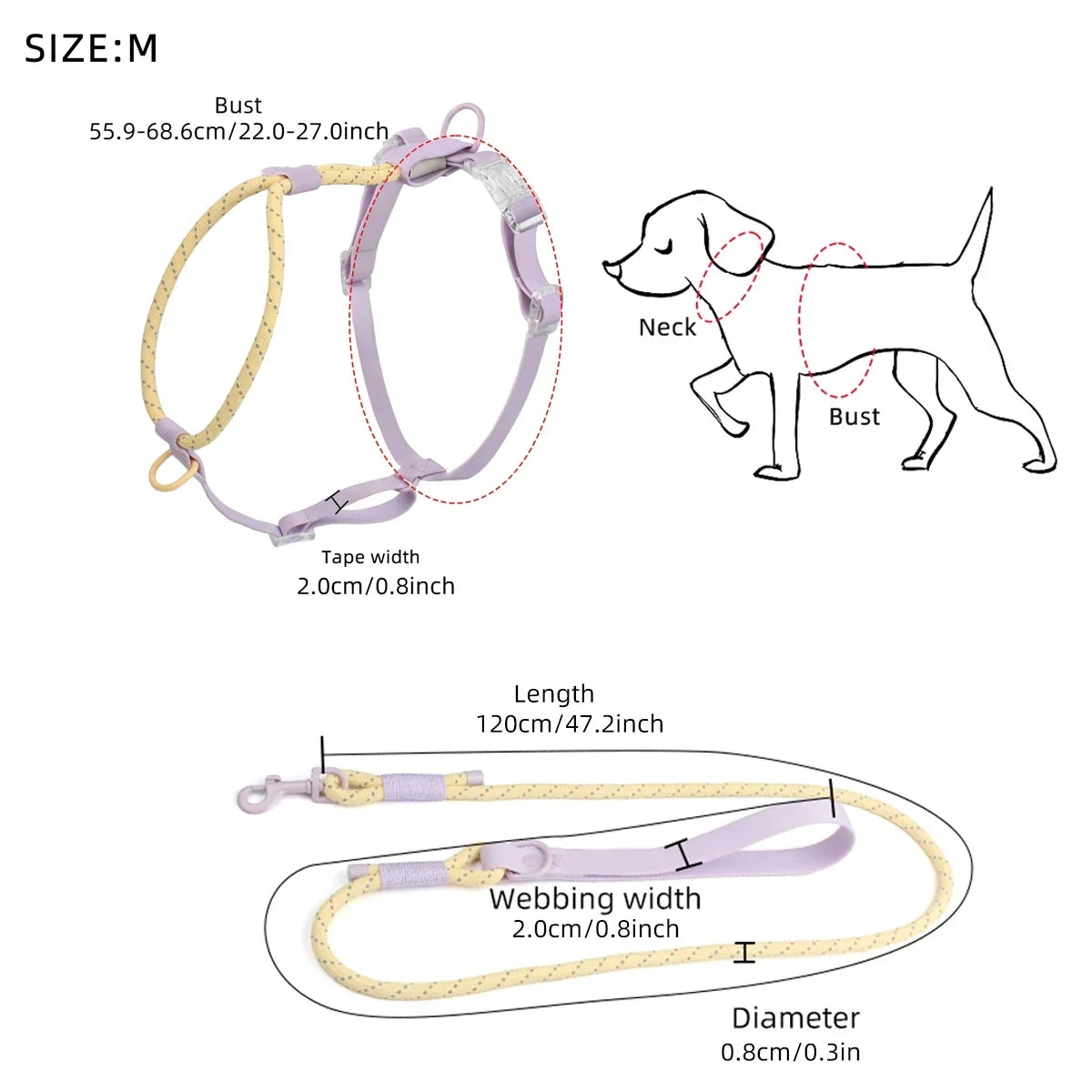 Small And Medium Dogs Harness For Summer Pet dog Walking Running Outdoor Fashion Harness No Pull Safety Reflective Nylon Leashes