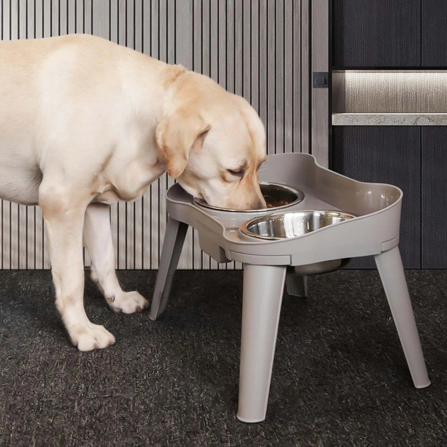 Stainless Steel Elevated Pet Bowl for Dogs and Cats Anti-Slip Raised Food Dish with Non-Skid Base High Sided Pet Feeder