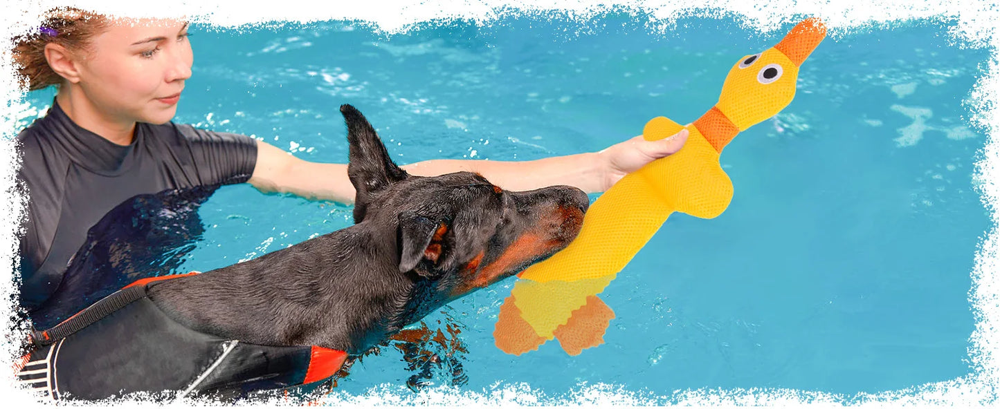 Floating Dog Water Pool Toys 2 packs - Suitable for medium/large-sized dogs, Duck-designed pool toys, summer dog toys