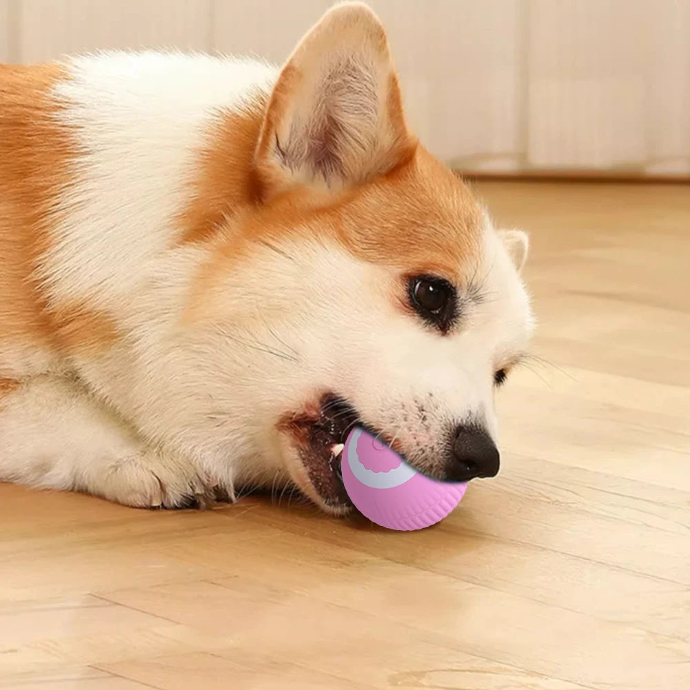 Electric Cat Ball Toys USB Rechargeable Smart Interactive Cat Toy for Cats Training Self-moving Kitten Toys for Indoor Playing