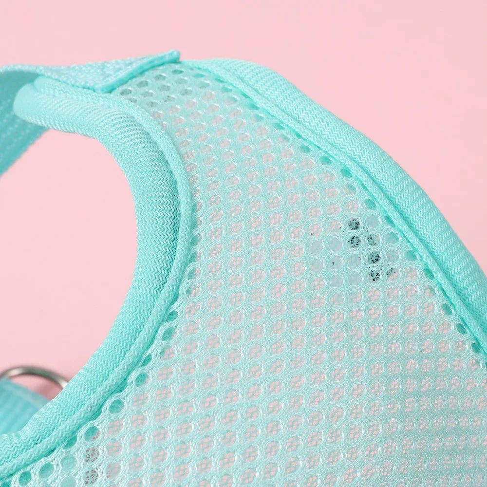 Butterfly Cute Breathable Dog Harness Set for Small Dogs Cat Puppy Chest Vest Leash Outdoor Walking Pet Accessories Summer