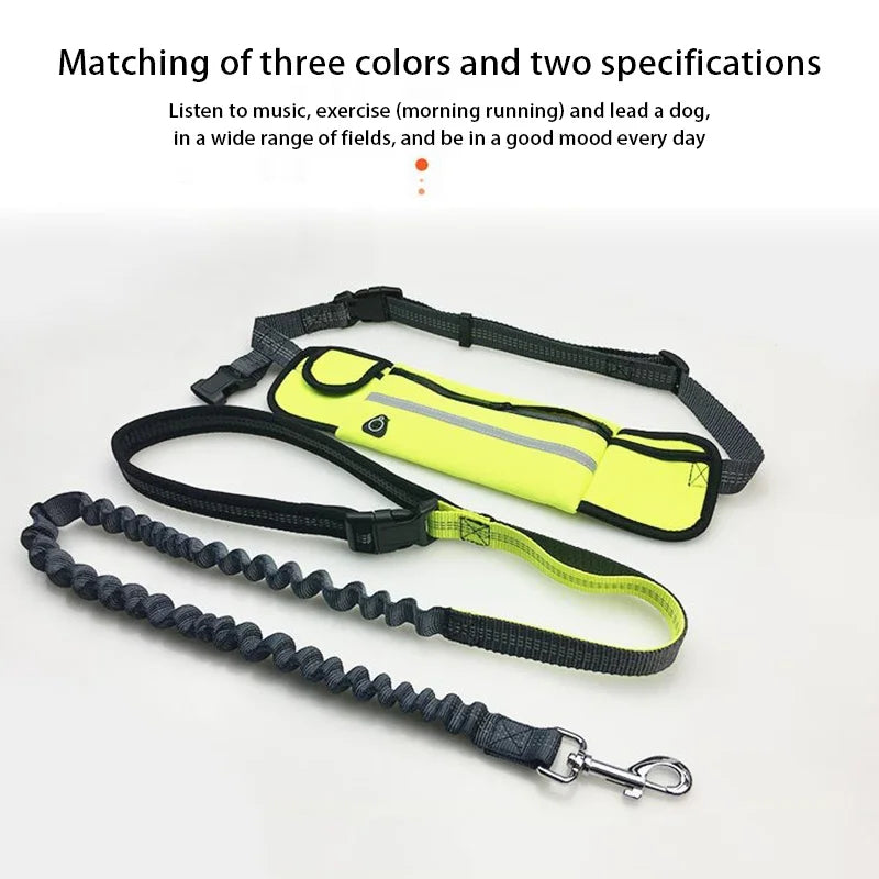 Hands Free Dog Leash with Zipper Pouch Reflective Bungee for Medium to Large Dogs Walking Jogging and Running