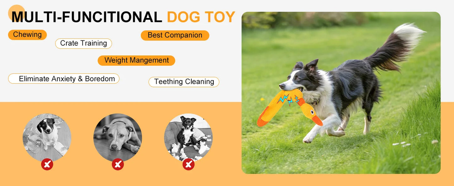 Floating Dog Water Pool Toys 2 packs - Suitable for medium/large-sized dogs, Duck-designed pool toys, summer dog toys