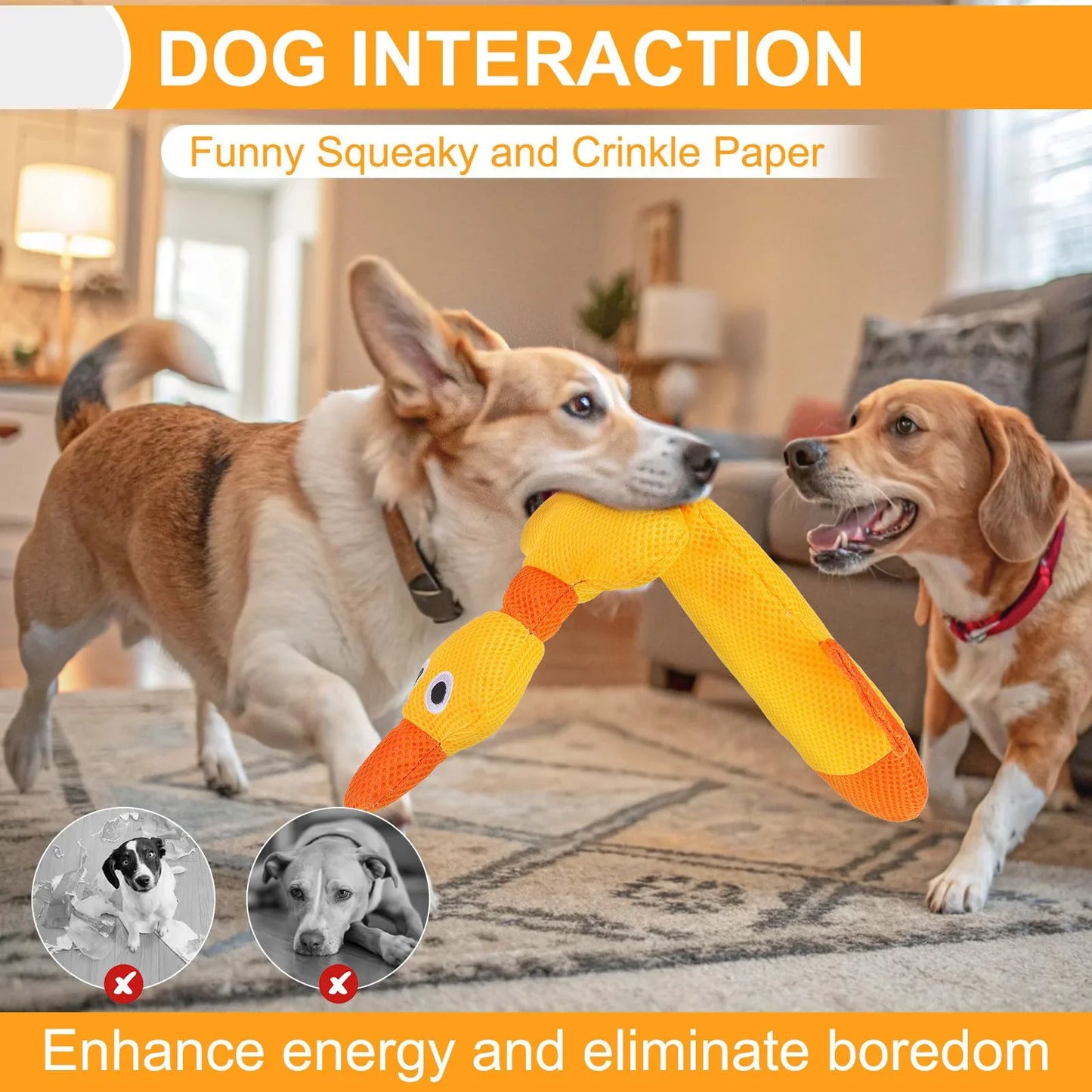 Floating Dog Water Pool Toys 2 packs - Suitable for medium/large-sized dogs, Duck-designed pool toys, summer dog toys