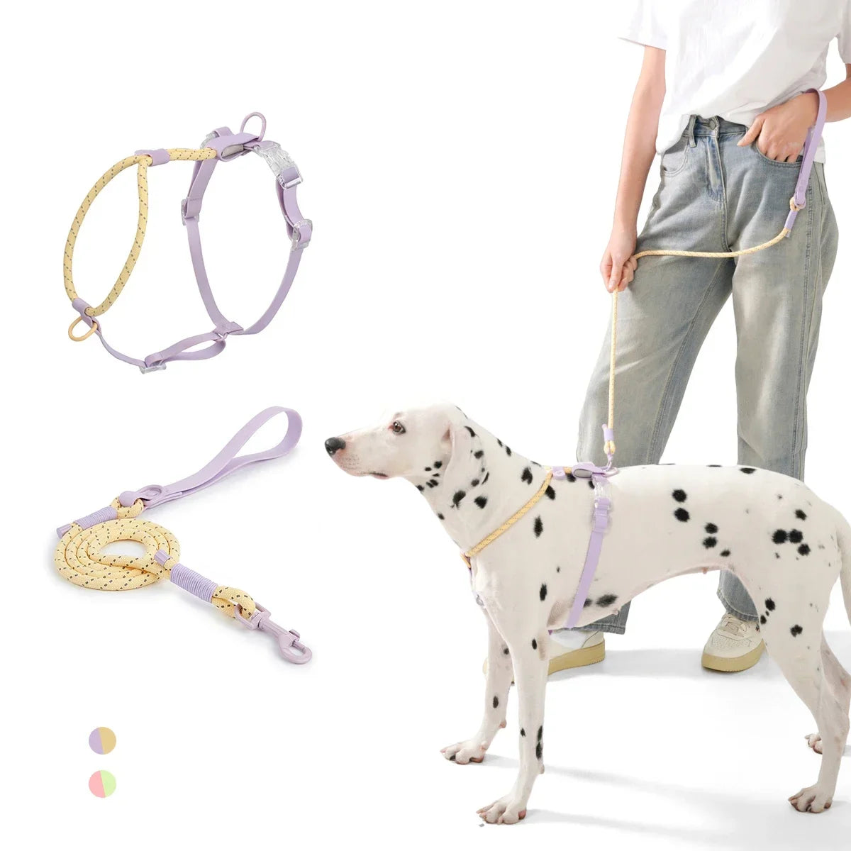 Small And Medium Dogs Harness For Summer Pet dog Walking Running Outdoor Fashion Harness No Pull Safety Reflective Nylon Leashes